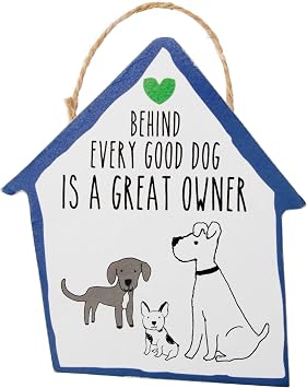 Pavilion Gift Company It's Cats & Dogs Magnetic Ornament