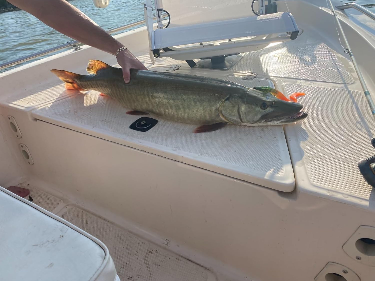 MIZUGIWA Pike Musky Dawg Fishing Soft Bait Lure,Zabder Freshwater Tackle Bull Coarse