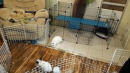 Review Image by Stephanie Woo Stephanie Woo