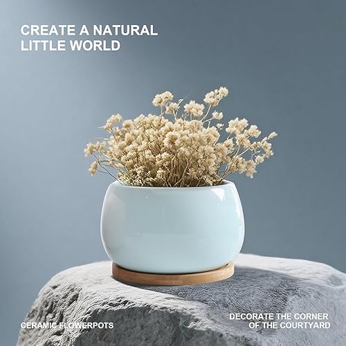 Vista 3 de Jusalpha Maceta grande de cerámica de 5 pulgadas con orificio de drenaje y platillo de bambú para plantas de interior, maceta 07 (azul)