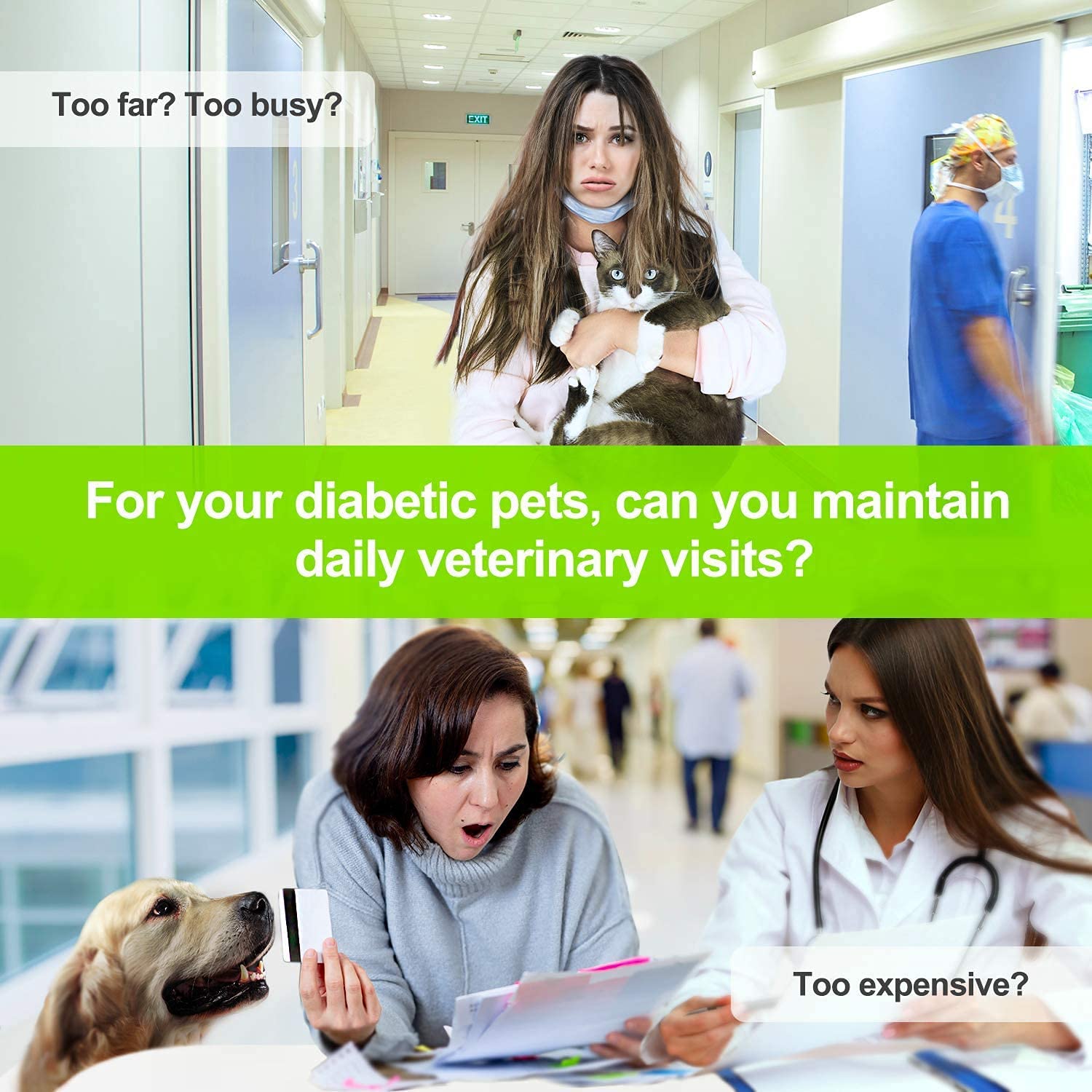 Buy AUVON Glucose Monitor Blood Sugar Test Strips for Dogs Cats (100