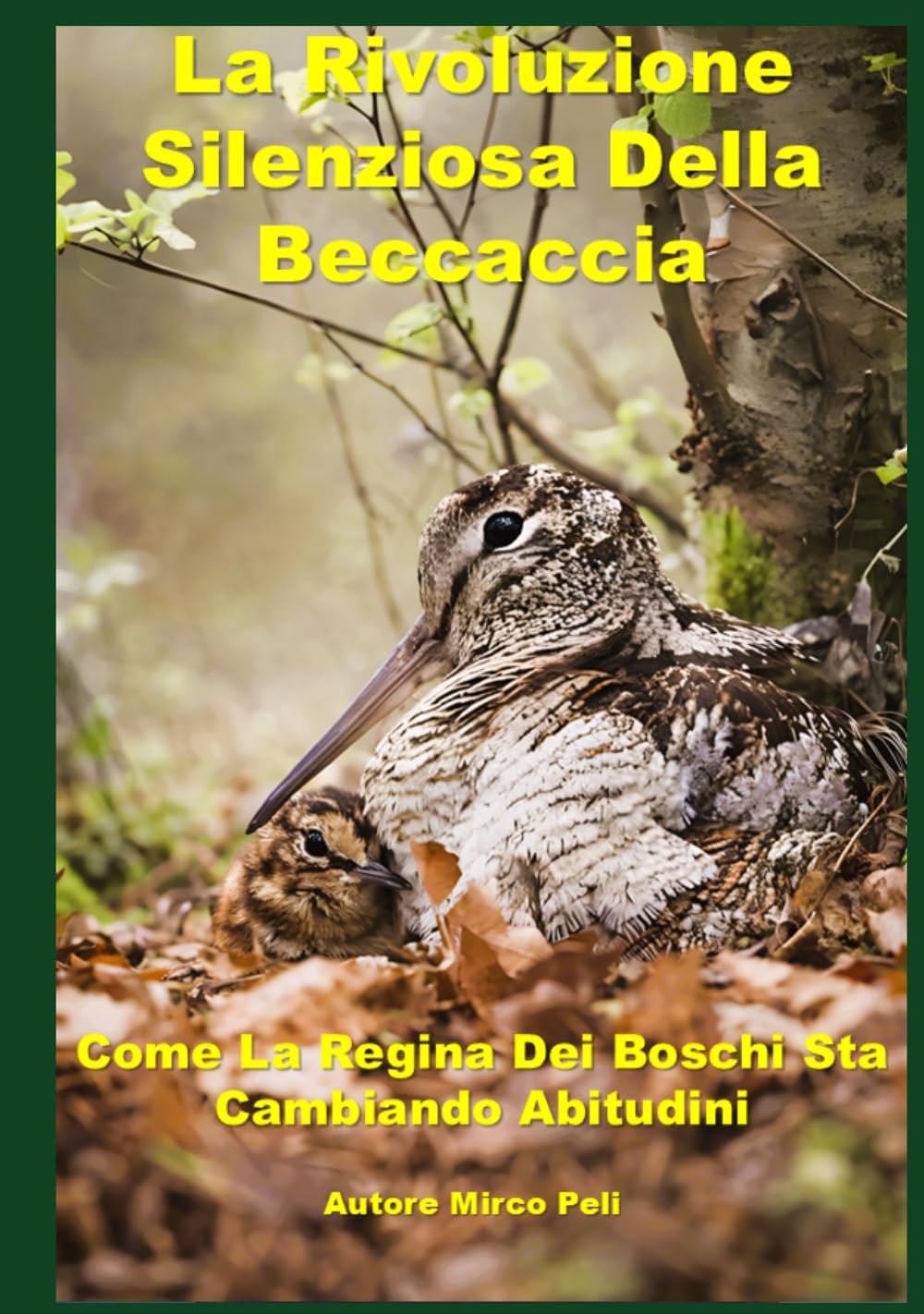 LA RIVOLUZIONE SILENZIOSA DELLA BECCACCIA: Come La Regina Dei Boschi Sta Cambiando Abitudini