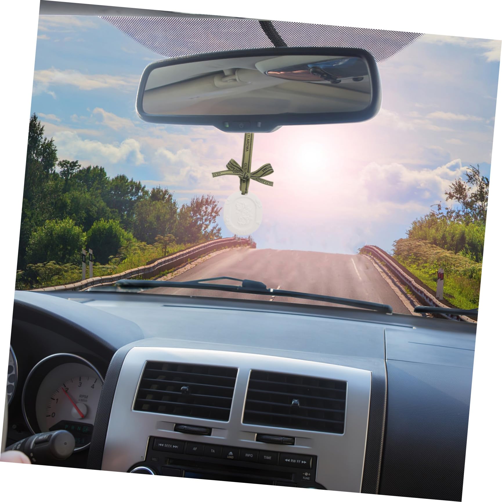 BETOOKY Diffusore Passivo di Oli Essenziali per Auto in Gesso con 10 Compresse Profumate (gardenia + Tè Bianco), Deodorante Sospeso per Interni Auto, Armadio e Bagno, Profumo a