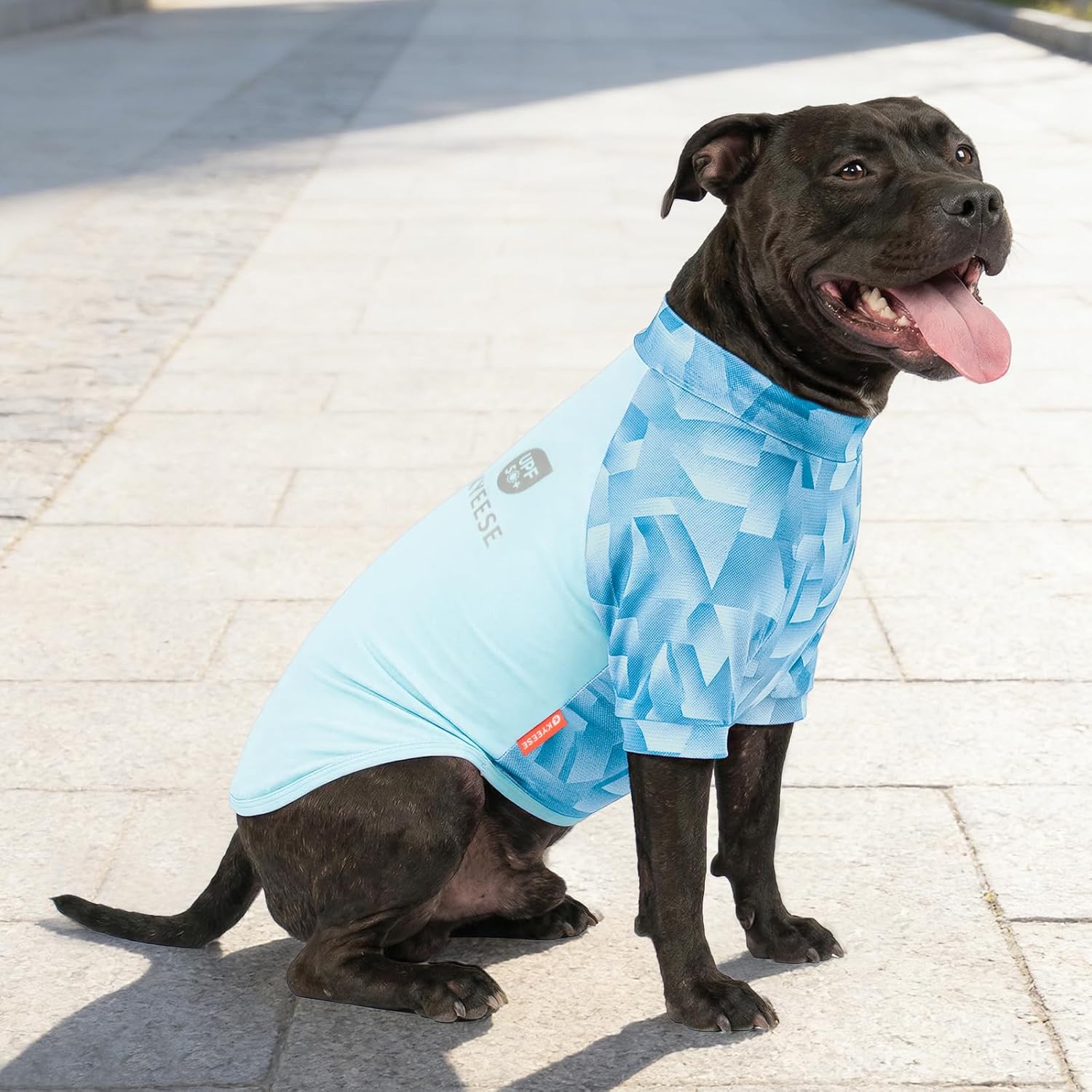 KYEESE 2Pack UV Protection Dog Shirt, UPF 50+ Cooling Dog T Shirts for Medium Large Dogs Boy, Breathable Reflective Dogs Sun Shirts with Sleeves Summer Pet Clothes, Blue, 2XL