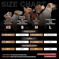 Vista 27 de BEAUTYZOO No Pull Dog Harness and Leash Set - Adjustable Step-in Puppy Harness for Small Medium Large Dogs, Escape Proof Soft Nylon Vest with Double