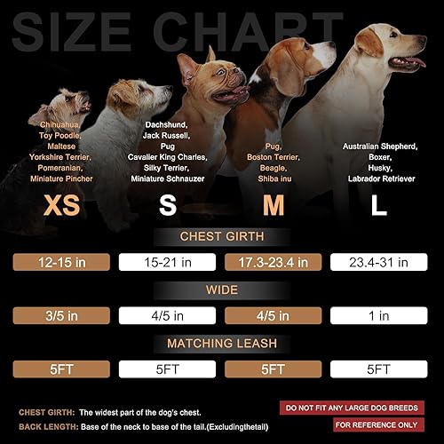 Miniatura 27 de BEAUTYZOO No Pull Dog Harness and Leash Set - Adjustable Step-in Puppy Harness for Small Medium Large Dogs, Escape Proof Soft Nylon Vest with Double