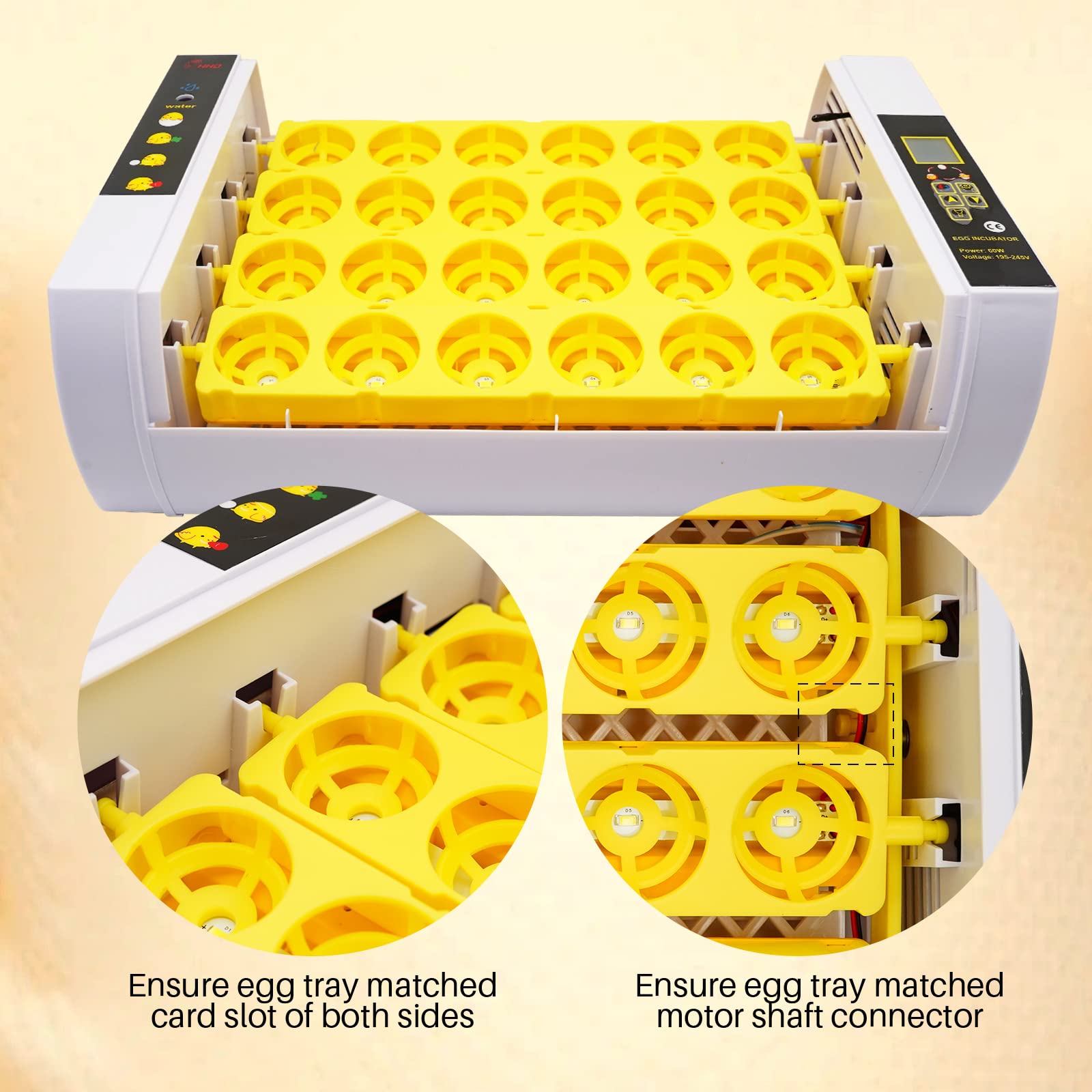 Brutautomat Vollautomatisch 24 Eier Inkubator HüHner mit LED -Eierlicht und Automatisches Temperaturregelungs Brutmaschine Wachteleier Brutkasten HüHner