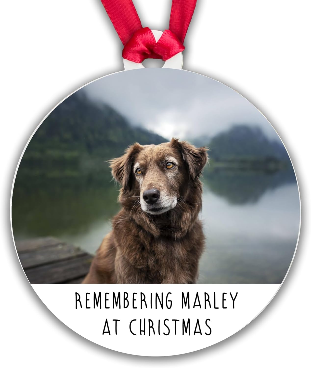 Pet Memorial Christmas Photo Bauble Family Pet Cat Dog Passed In