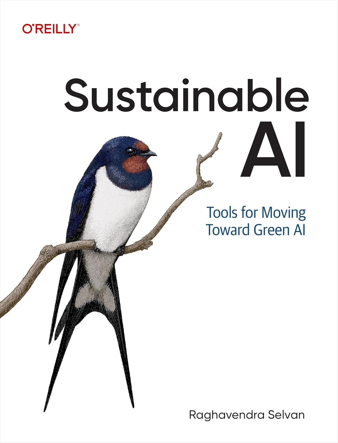 Sustainable AI: Tools for Moving Toward Green AI      1st Edition, Kindle Edition