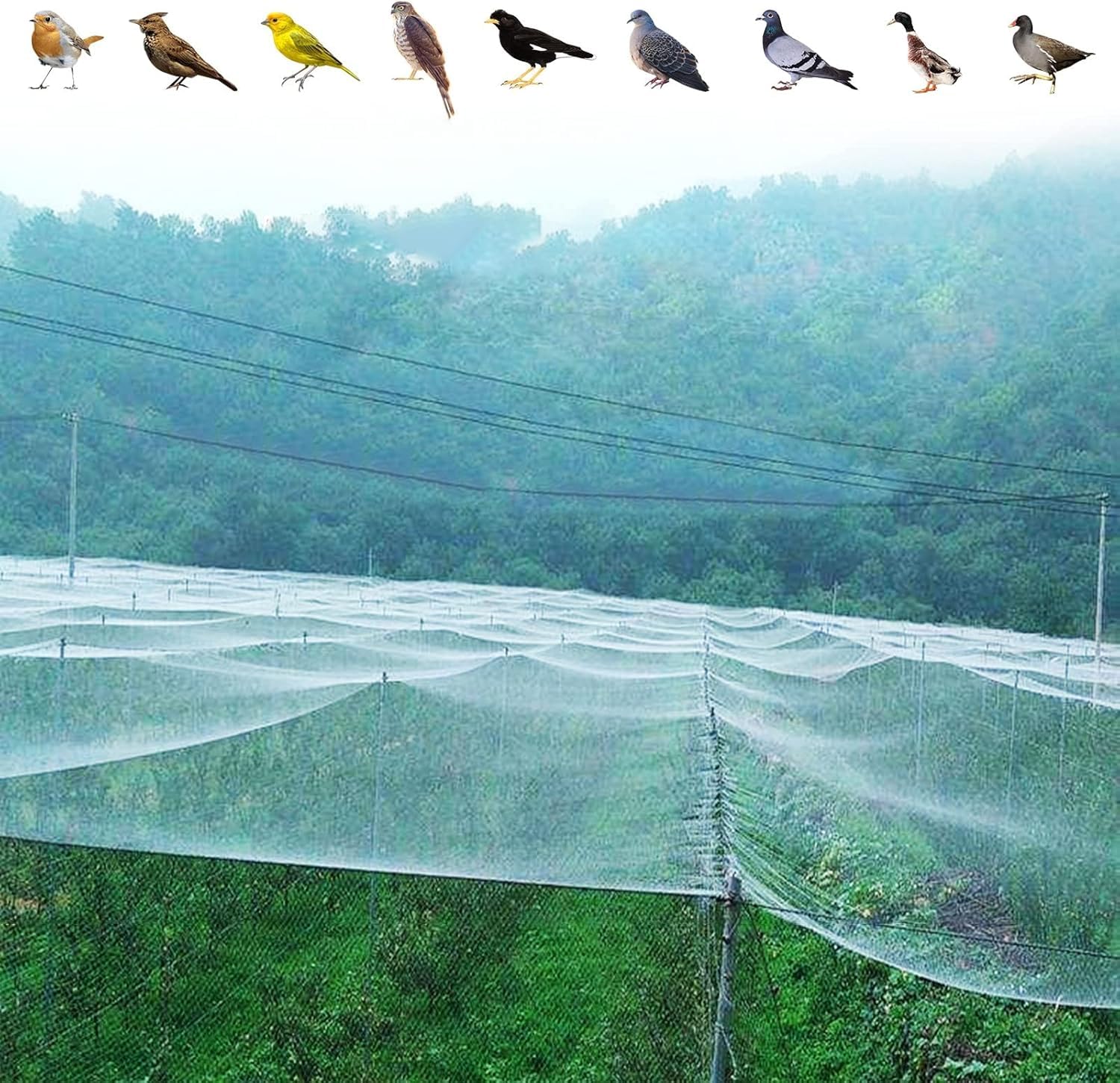 Rete for uccelli, alberi da frutta/piante/reti for fragole, grande recinzione giardino in plastica bianca, for animali, temporanea, for polli(5x10m/16.4x32.8ft)