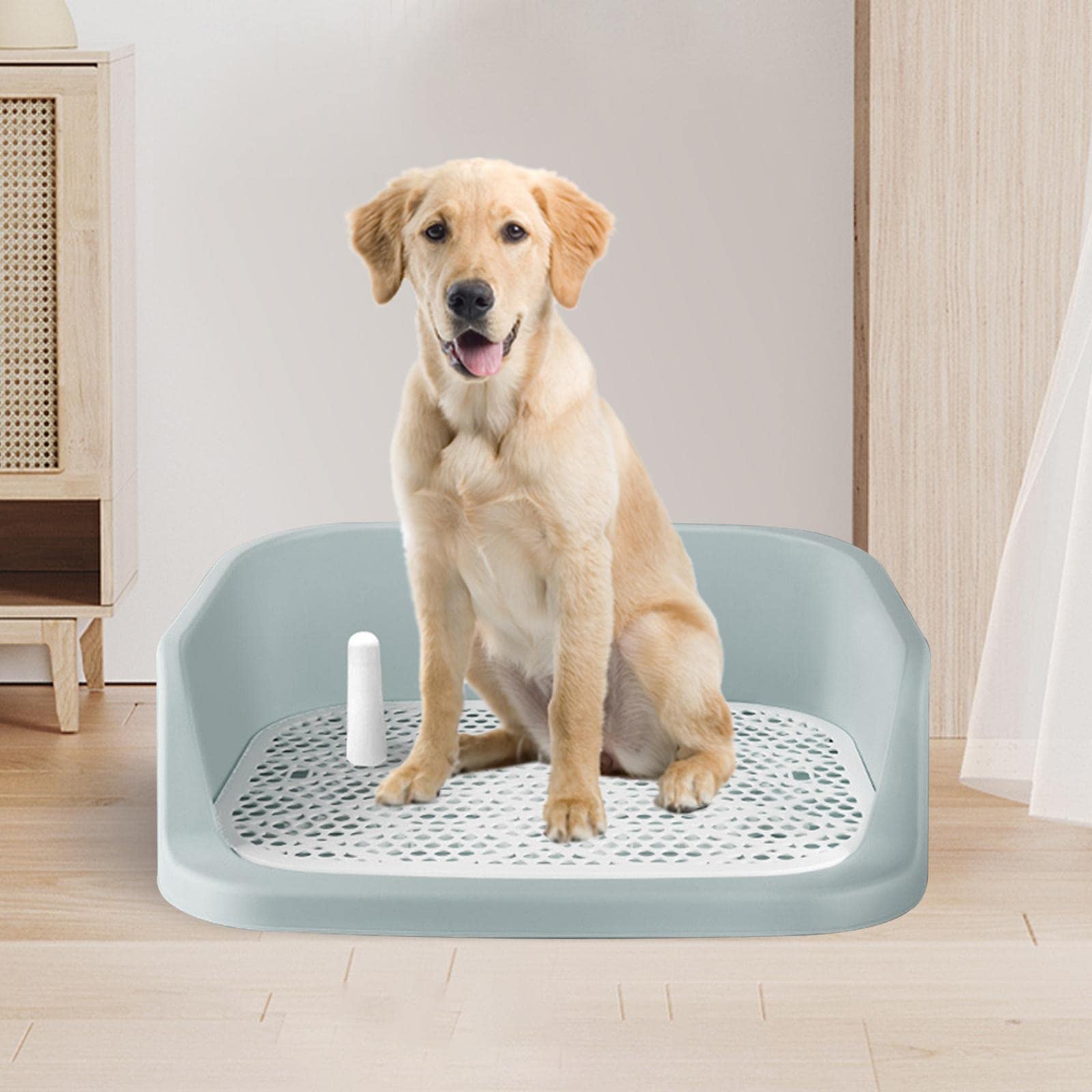 Bac à Litière pour Chiots, Outil de Nettoyage, Propreté, Bleu Blanc