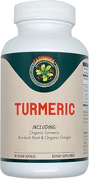 Carnivora Turmeric Support for Joints and Digestive Health 90 Vegan Capsules