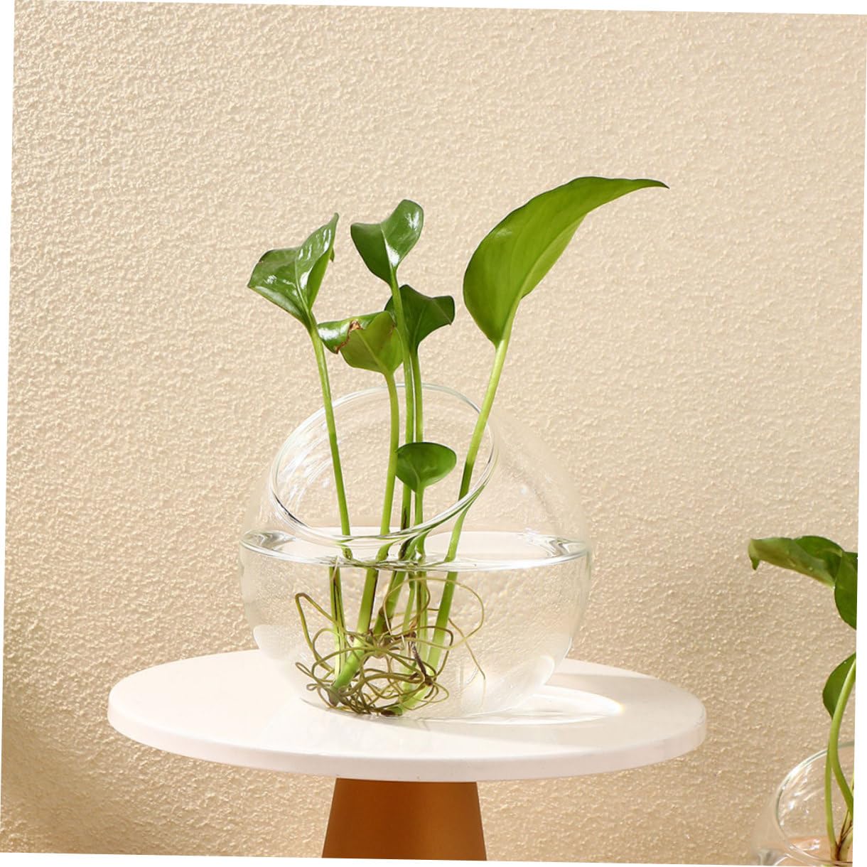 Gatuida Terrario Di Vetro 3 Pezzi Bottiglie Micro Paesaggio Fai Da Te, Contenitori Per Piante Succulente Compatte Per Decorazioni Casa Ufficio Matrimonio