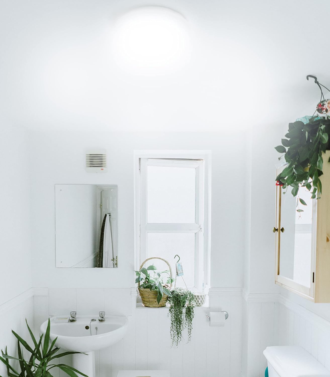 Ciata FC16T9/CW Fluorescent T9 Circline Ceiling Light Bulb, 40 Watt, 4100K - 2 Pack