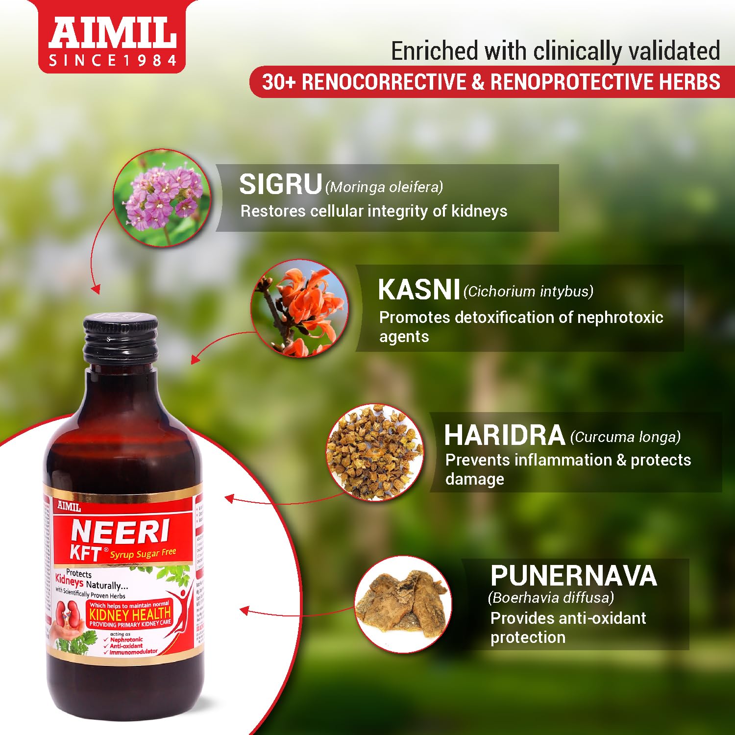AIMIL Neeri KFT Syrop bez cukru - 200 ml | Wellness nerek, przywraca funkcje, zalecany przez nefrologów