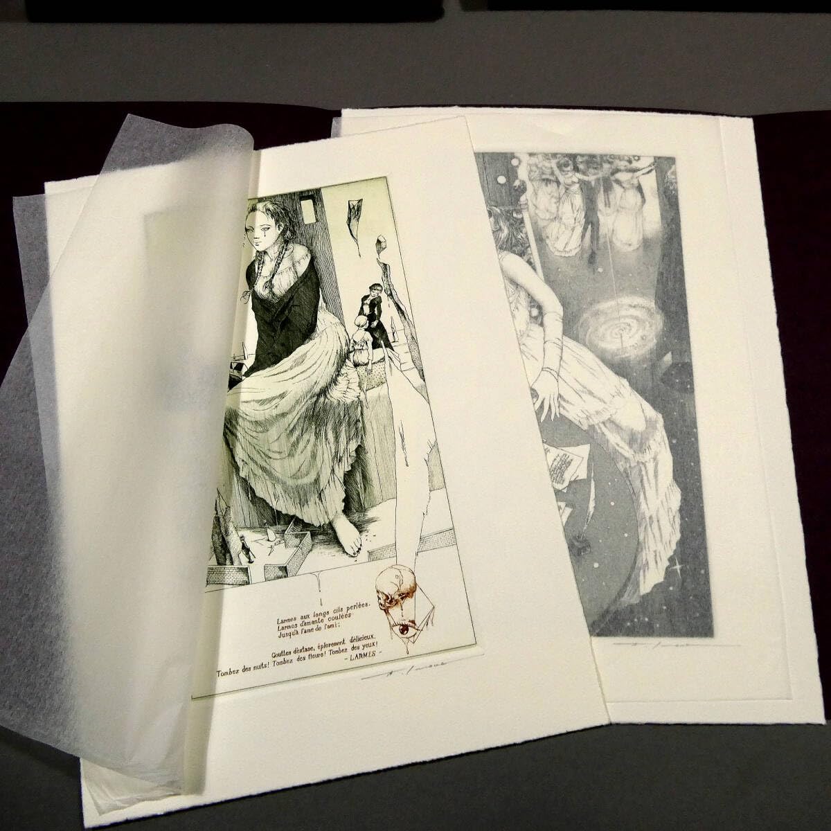 ベル・フィーユ　アルフォンス・イノウエ銅版画集 ベル・フィーユ：アルフォンス・イノウエ銅版画集 – 古書ドリス