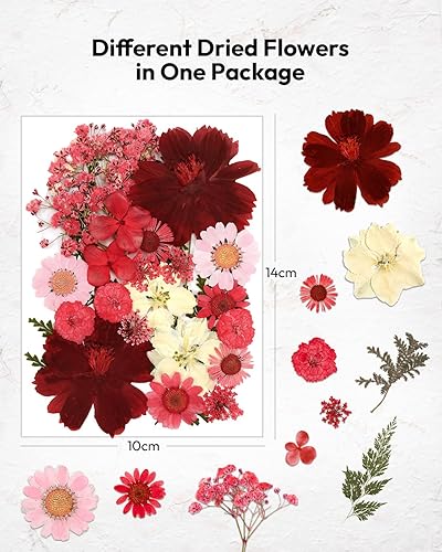 Vista 162 de Resiners - Flores secas, 100 piezas de flores prensadas para manualidades, color amarillo, flores secas naturales, kit de hojas secas