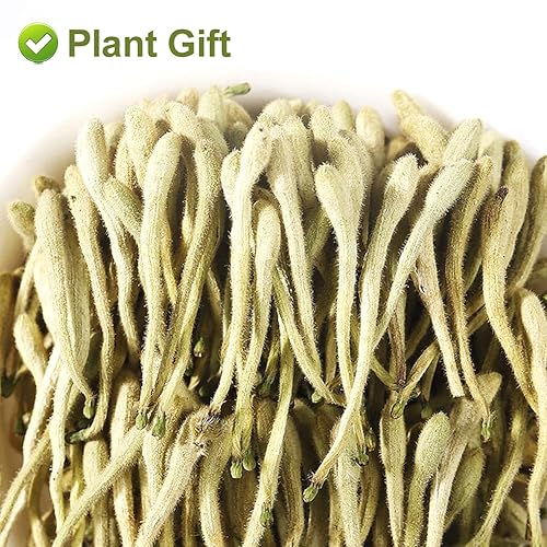 Miniatura 3 de Plant Gift Té de madreselva 40G/1.41 oz - Lonicera Japónica salvaje, té de hierbas sueltas, flor seca, 100% natural Jin Yin Hua, madreselva seca