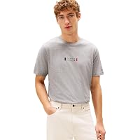 Tommy Hilfiger Men Brand Love Small Center Tee MW0MW41453 S/S