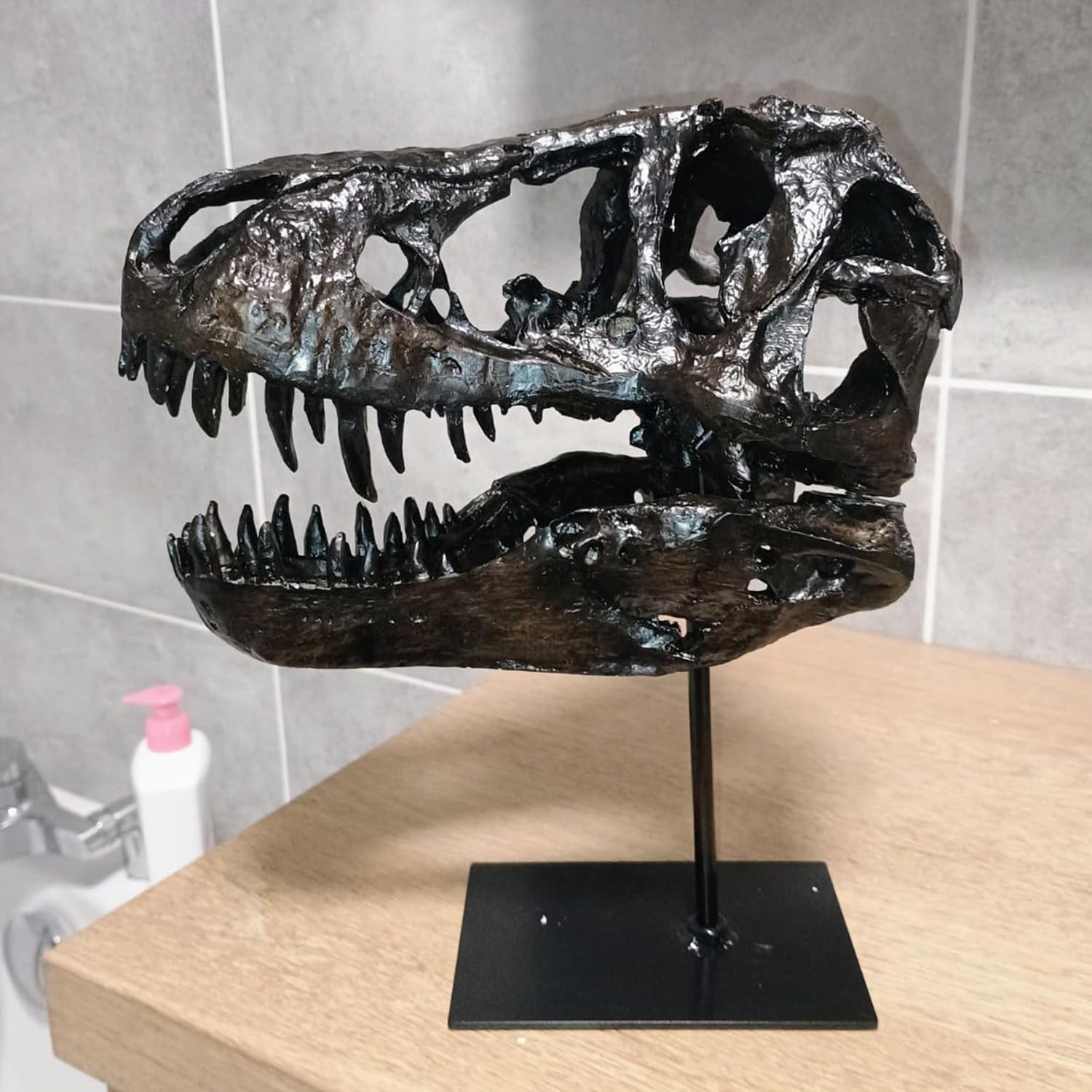 T-Rex schedel op Standaard - Replica - 30cm