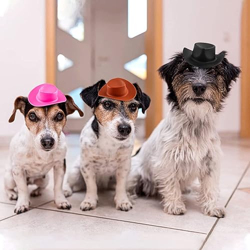 Miniatura 4 de Cayway 30 sombreros en miniatura, 3 sombreros de plástico de plástico, lindos accesorios de decoración para fiestas, disfraces de muñecas,