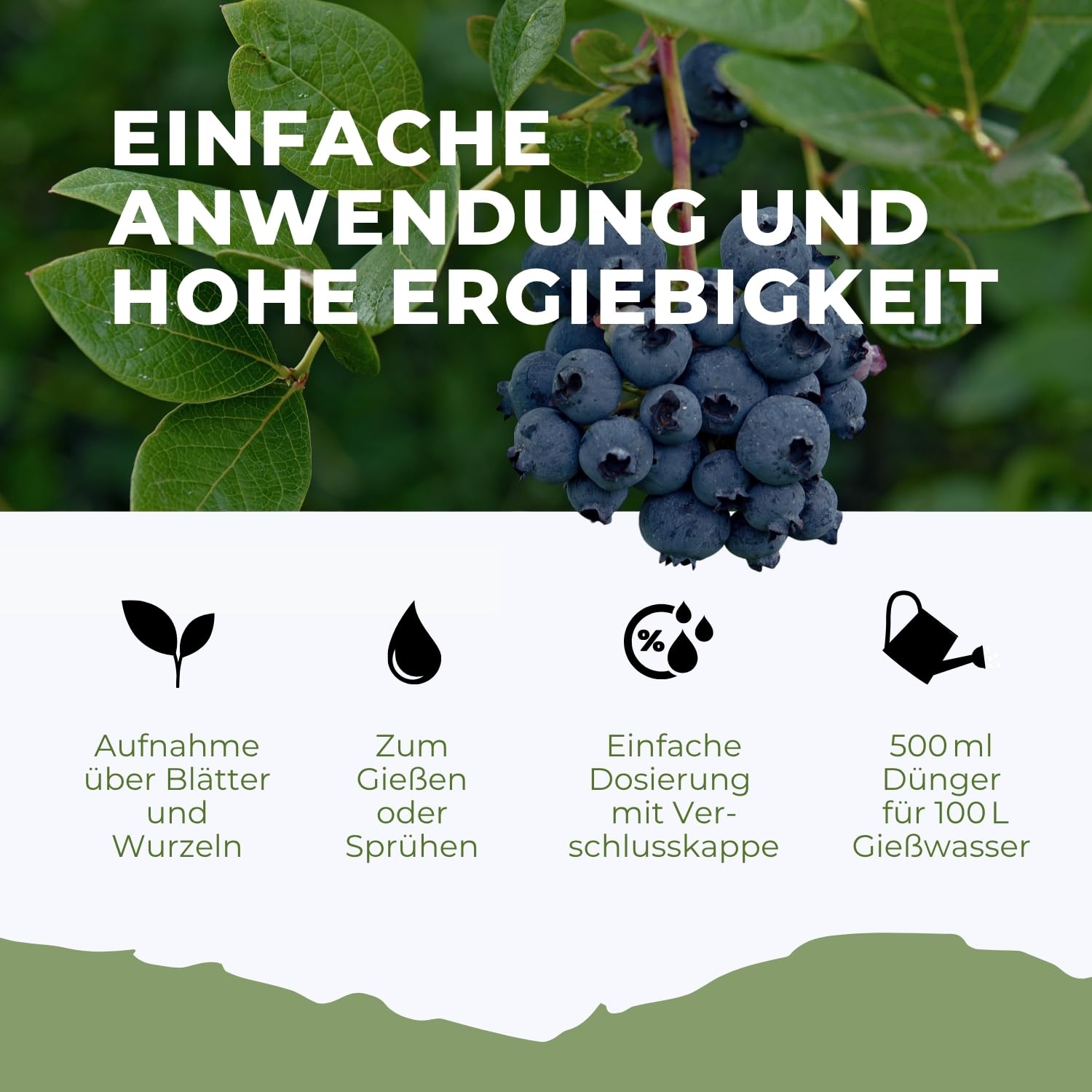 Flora Boost Heidelbeer Dnger Flora Boost 5000ml I Fr bis zu 1000L  Giewasser I Obst- & Beerendnger fr Heidelbeeren I Flssiger Blatt- &  Wurzeldnger I 100% natrlicher Pflanzendnger : Amazon.de: Garten