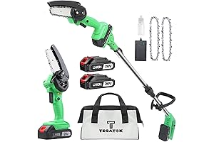 2-in-1 Cordless Mini Chainsaw with Extension Pole