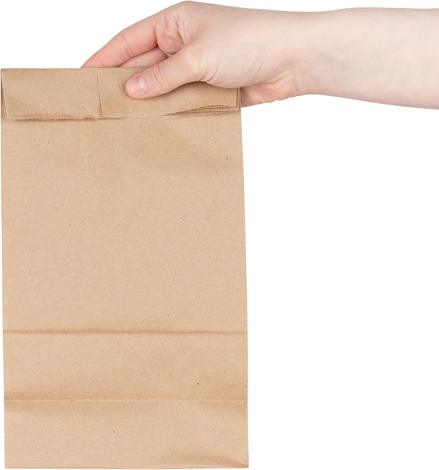 Stock Your Home 6 Lb Kraft Brown Paper Lunch Bags (500 Count) - Bulk Disposable Lunch Sacks, Medium Size Blank Bag, Good for a Snack, Sandwich, Grocery Food, and Arts & Crafts Projects