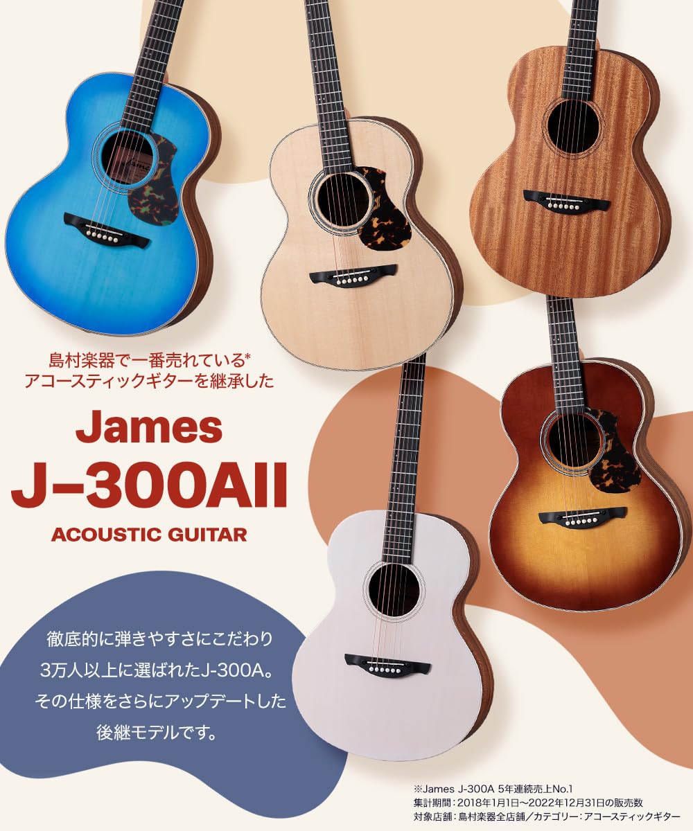 Amazon | James J-300AII アコースティックギター初心者12点セット
