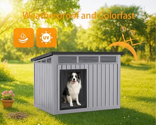 Dog House Outdoor Insulated Leaking When It Rains? 5 Fixes Before You Replace It 2 Thumbnail 2