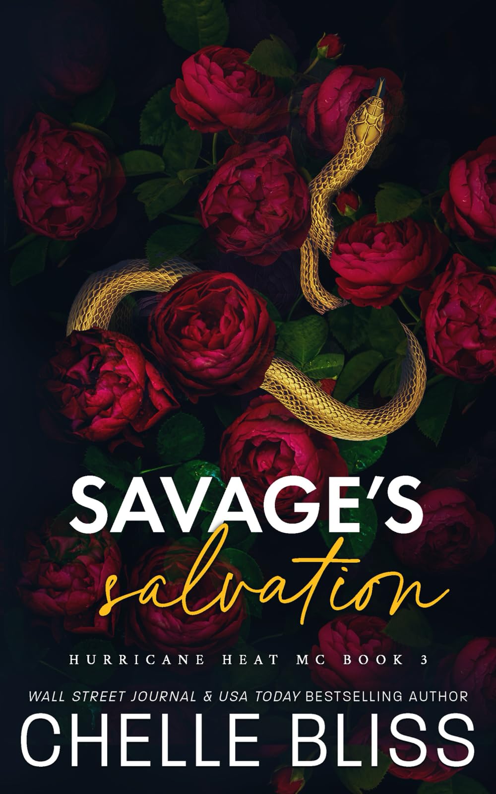 Savage's Salvation: Discreet Edition: 3 (Hurricane Heat MC)