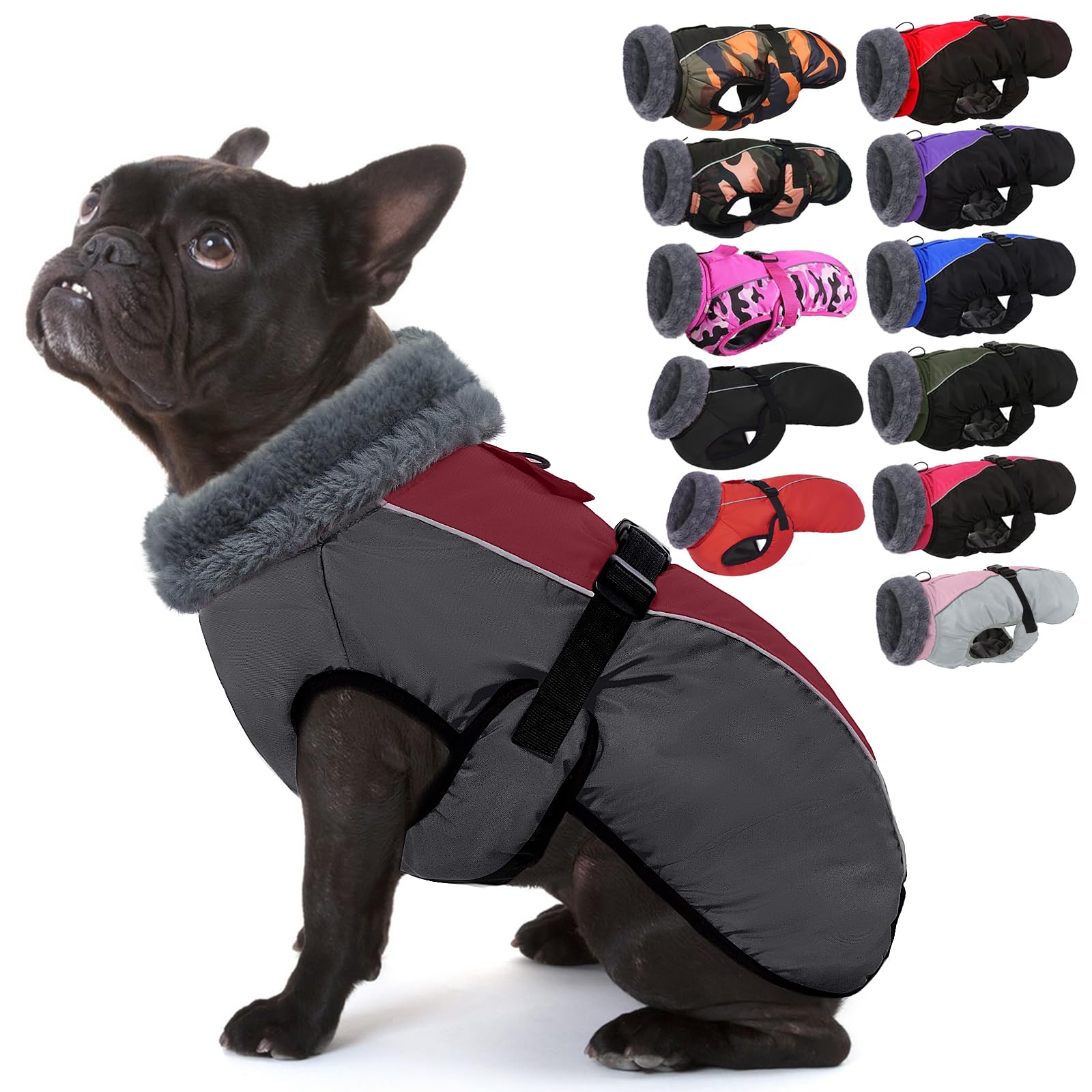 Veste chien réfléchissante pour balade hivernale sous la pluie manteau polaire bordeaux