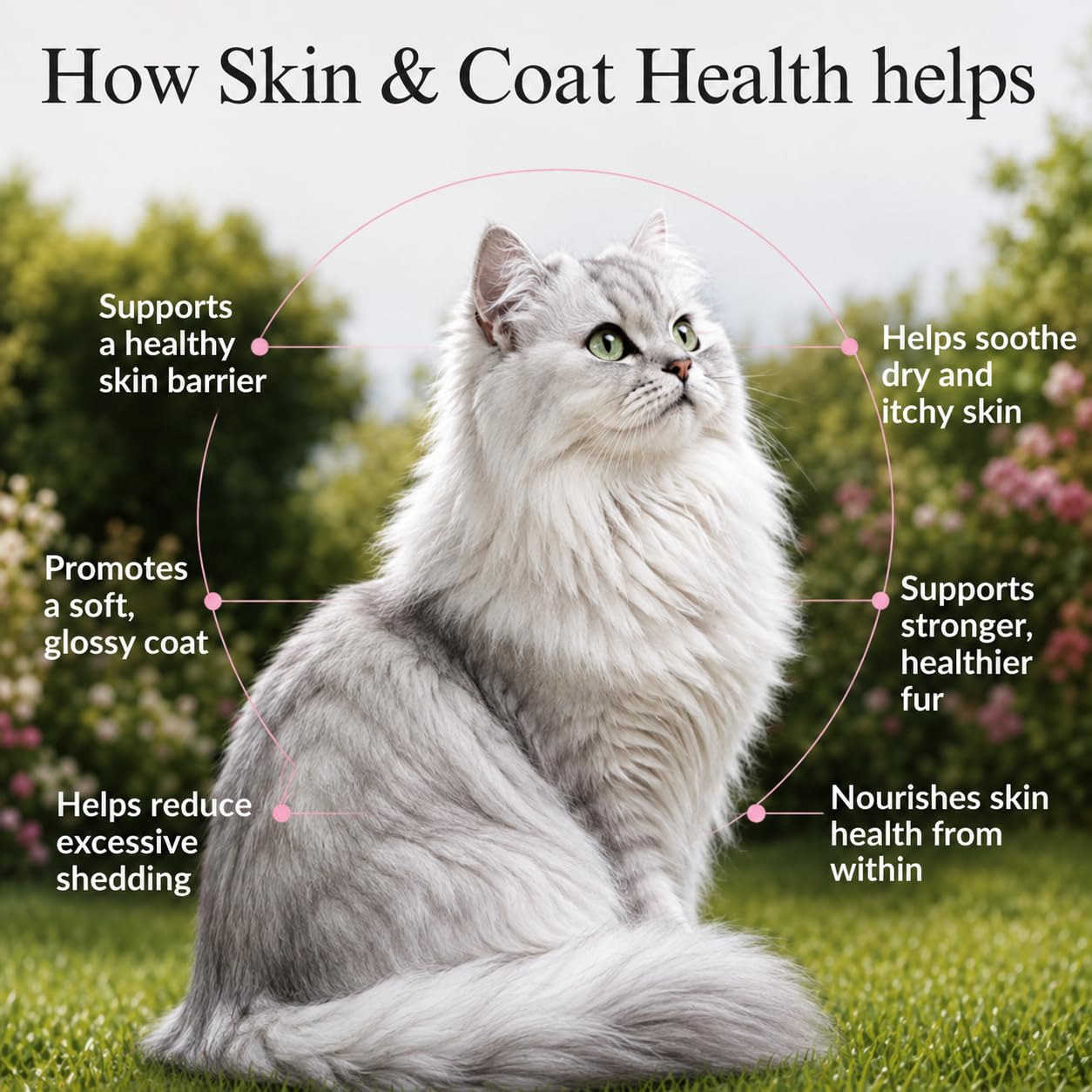 Cat Skin and Coat Supplement | 460mg Omega-3 for Cats | Coat Shine, Reduced Shedding, Dry Skin | Keratin Support with L-Methionine, Biotin, L-Lysine | 300g — Amazon image 2