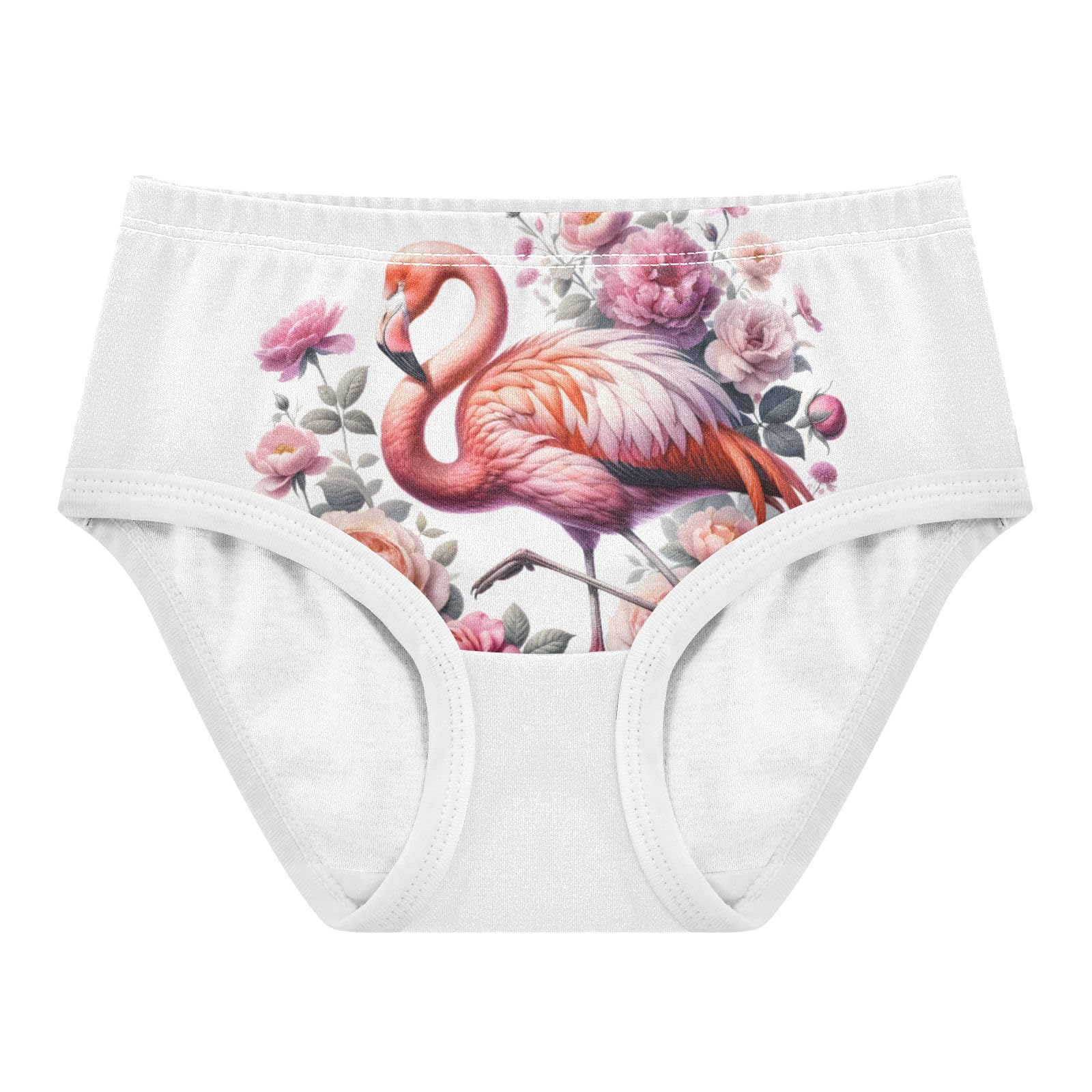 ALAZA Toddler Girls Cotton Hipster Underwear Soft Flamingo Standing 2 Pack 2T