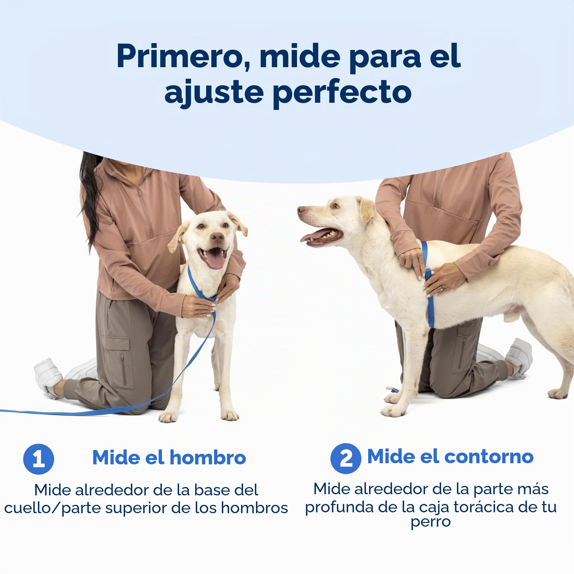 PetSafe Easy Walk Comfort - Arnés antitirones de adiestramiento, Acolchado Todo el Cuerpo, Resistente, 5 Puntos de Ajuste, Ribete Reflectante, Hebillas de Cierre rápido, asa, Uso Diario, Rosa, M/L