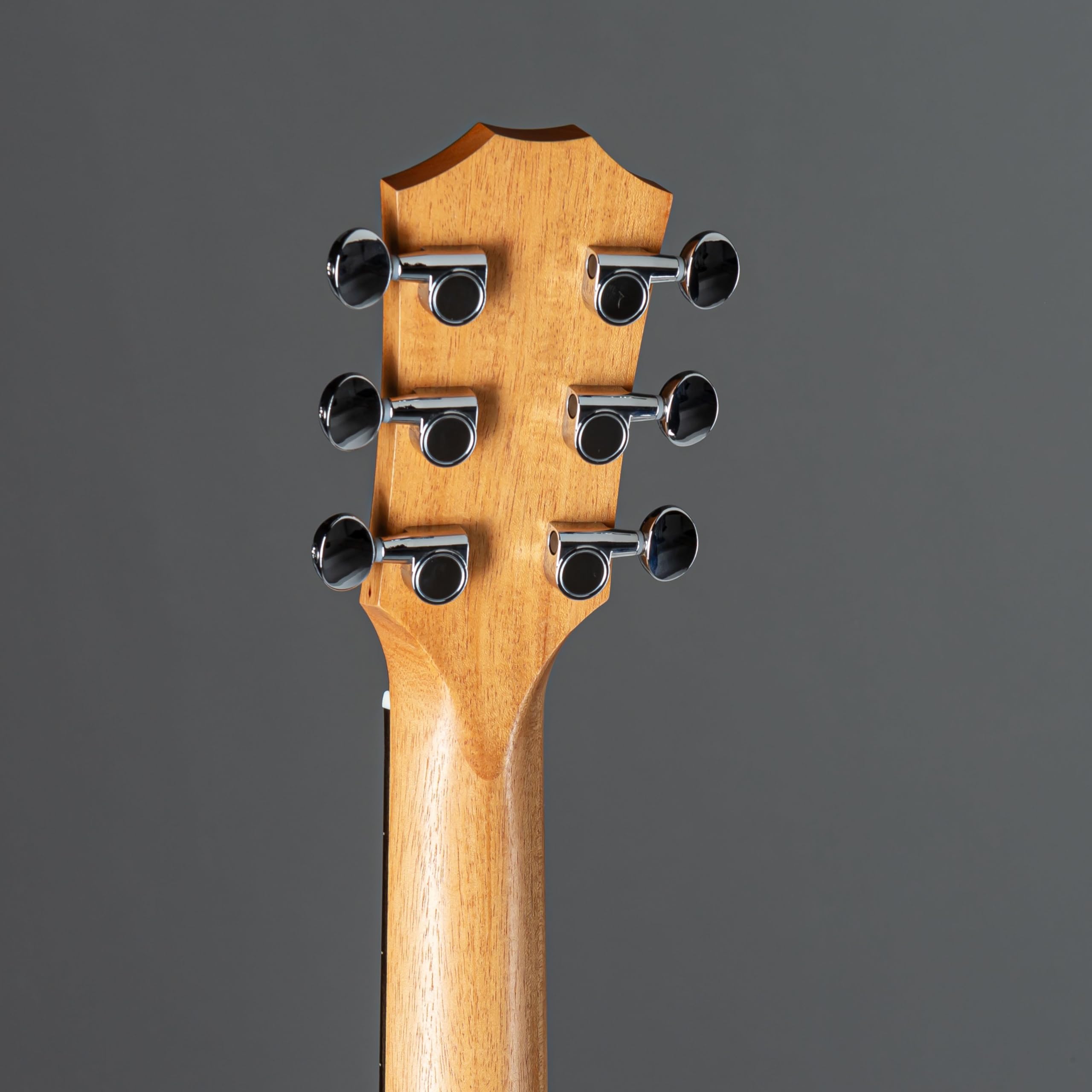 Amazon.com: Sapele GS Mini by Taylor : Musical Instruments