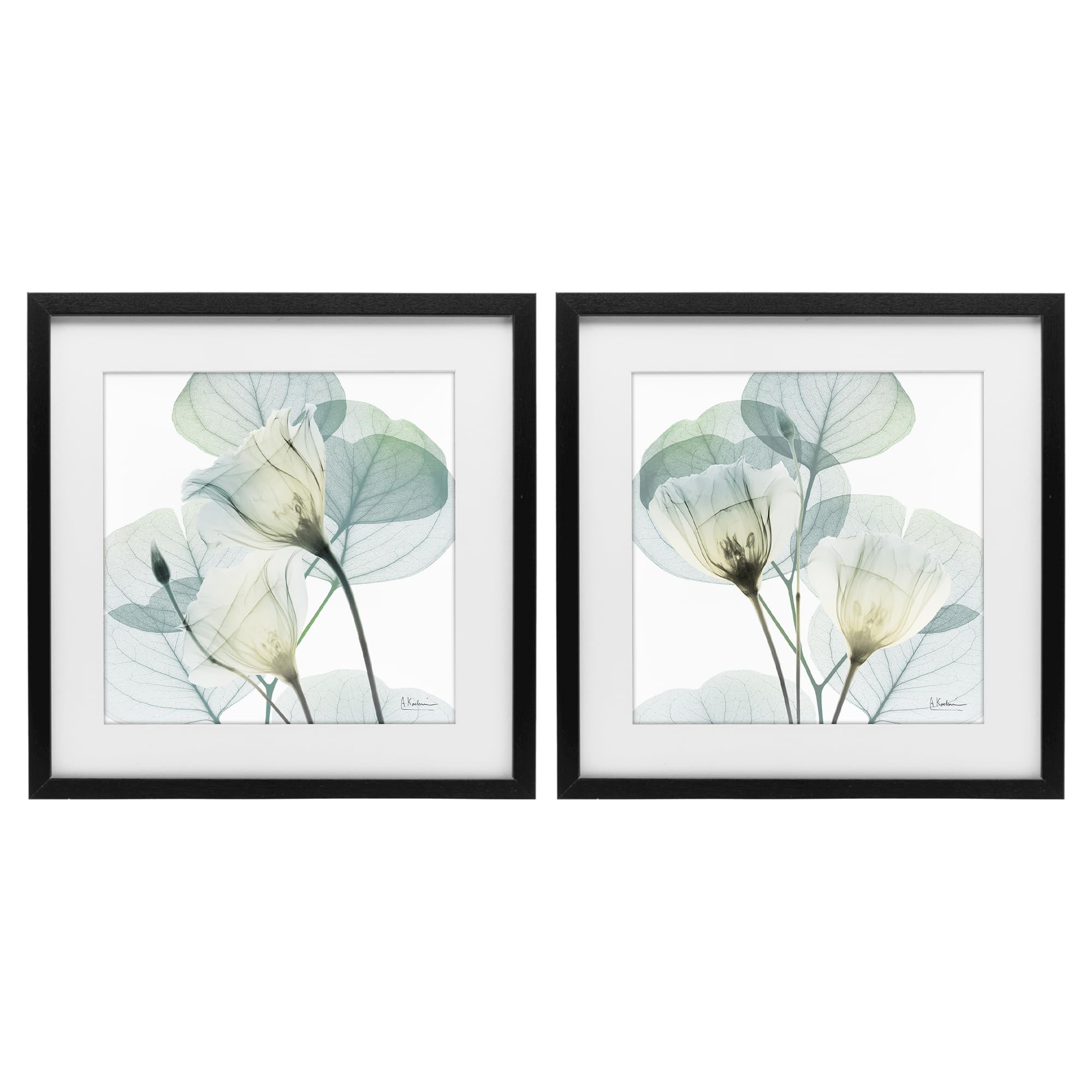 Ethereal Floral Botanical, 13 x 13 Inch Framed Print Under Glass Set