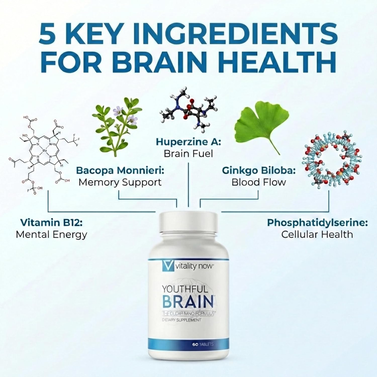 Youthful Brain | Memory & Brain Health Support Supplement with Bacopa Monnieri, Ginkgo Biloba, B12 - Easy to Swallow Tablets - 30-Day Supply (60 Count)