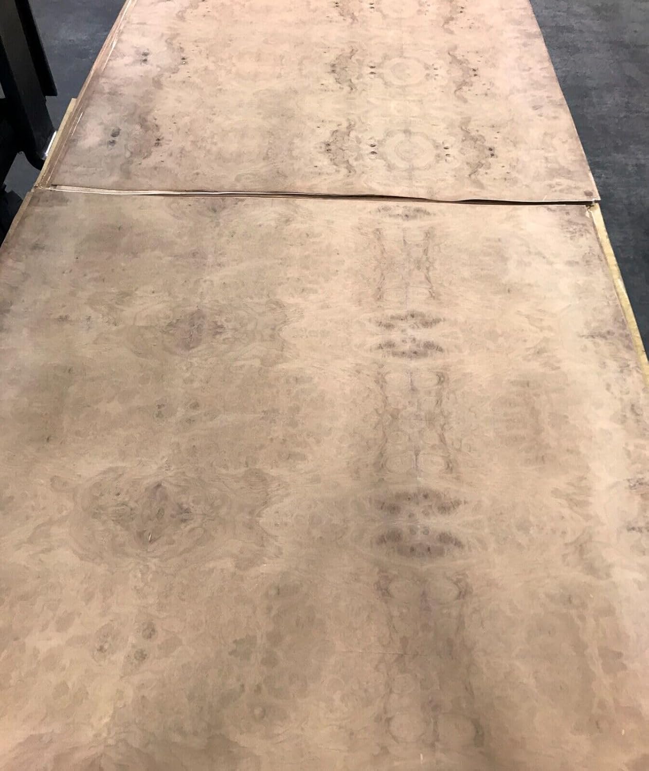 Laurel Burl Wood Veneer Sheet 48" x 48" on Paper Backer 1/40" Thick AA