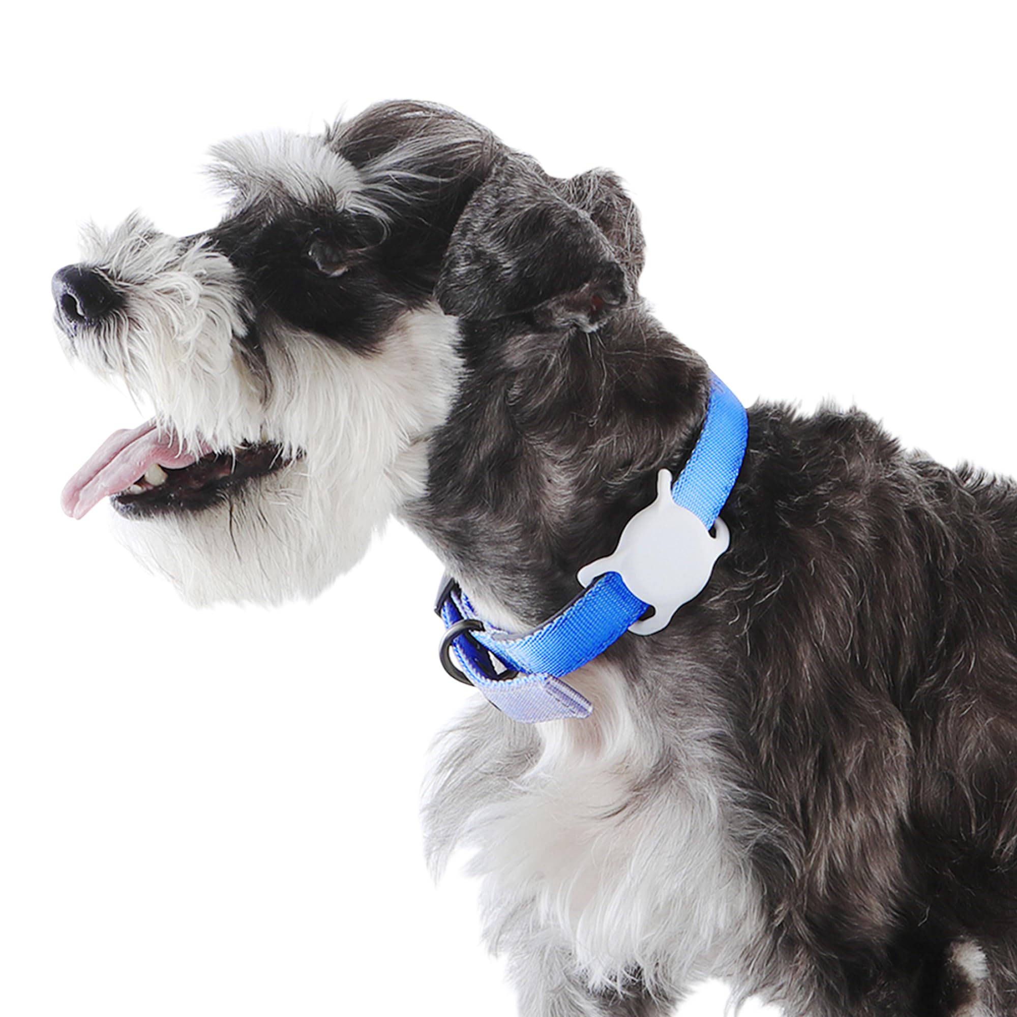 Amazon Basics AirTag Dog Collar Holder, Universal Fit, 2-Pack