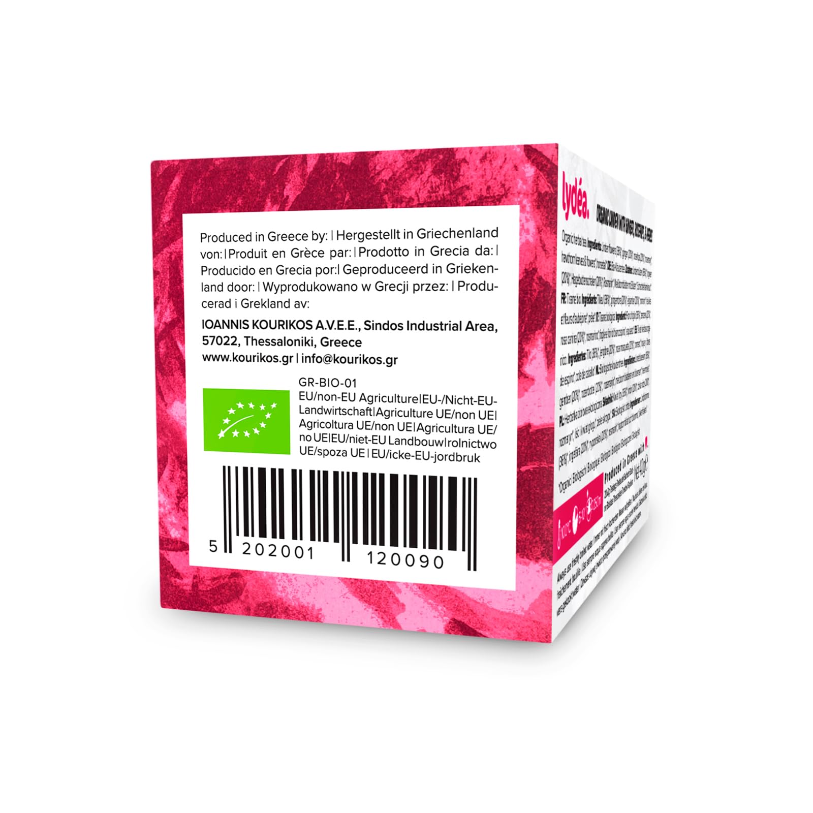 Lydea Tisane bio, tilleul avec gingembre, cynorrhodon et herbes, 60 pyramides, lot de 3 [3 x 20 pyramides]