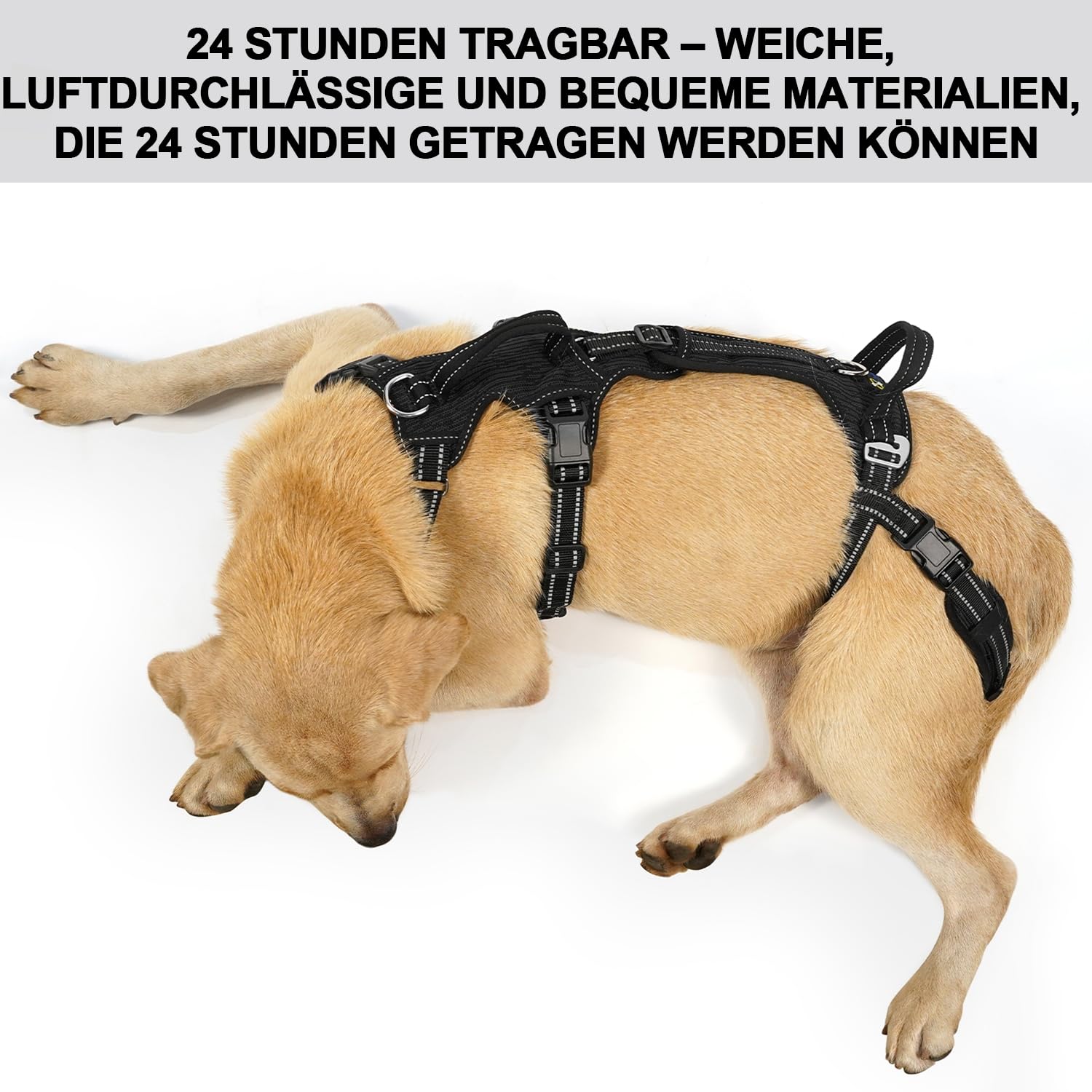 COODEO Tragehilfe Hund Hinterbeine, Hunde Hebegeschirr mit Schultergurt, Hundelift Gehhilfe für alte Hunde, Reha-Geschirr bei Arthritis, Gelenkverletzung, OP & Treppenhilfe (Schwarz, M)