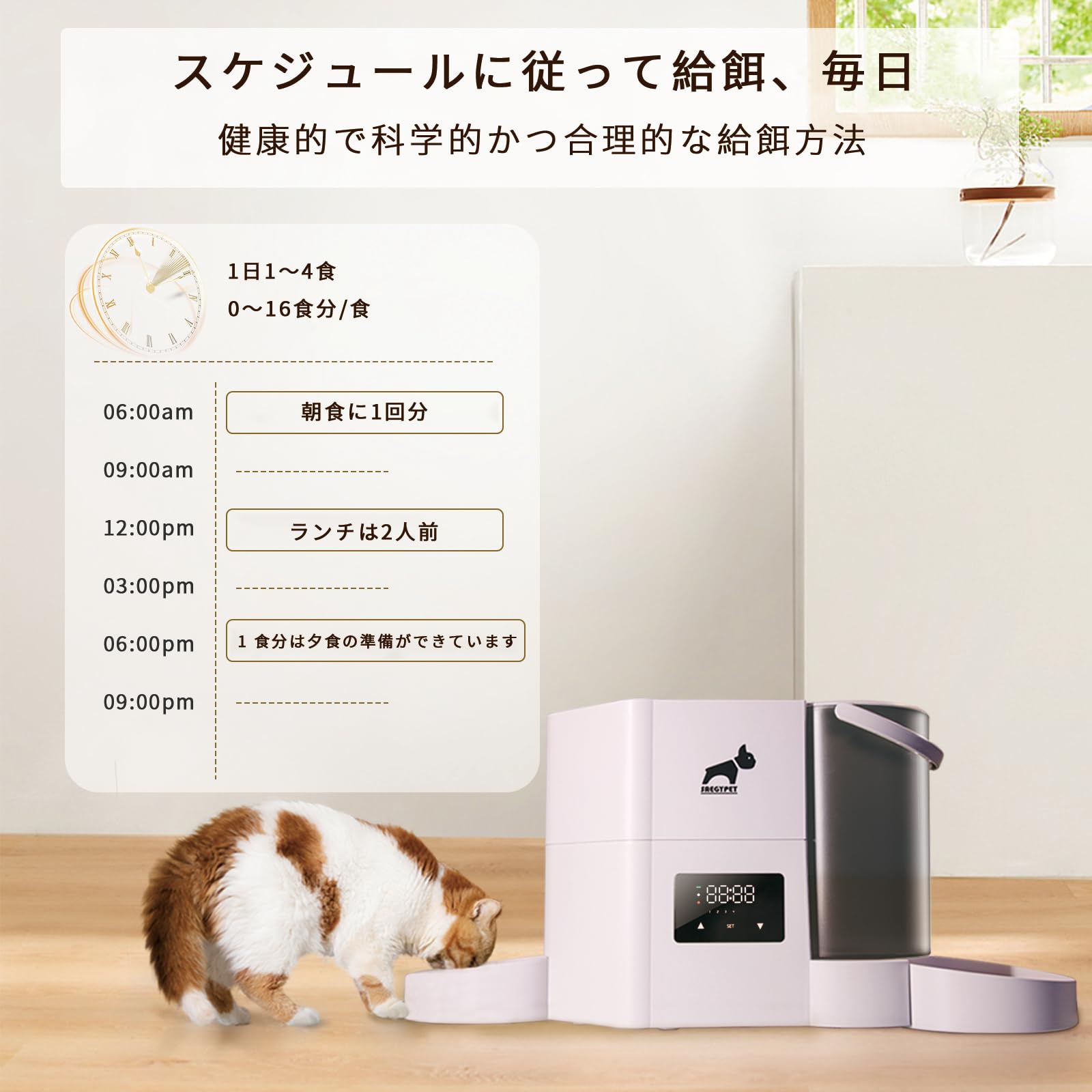 Amazon | 自動給餌器「SAEGYPET」2 in 1 自動給餌器2.5L容量 給水器2L