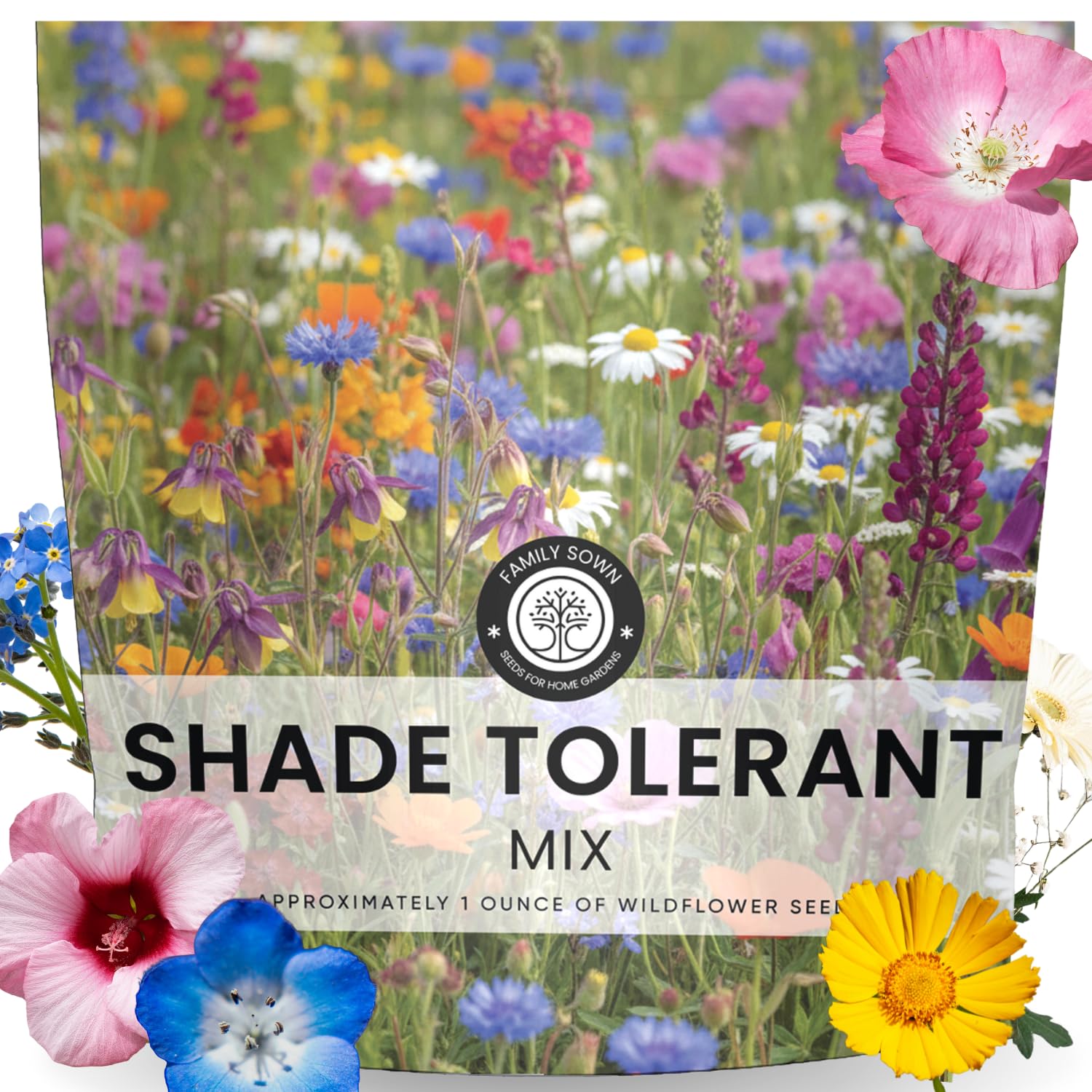 Shade Tolerant Mix – 14,000 Wildflower Seeds pouch