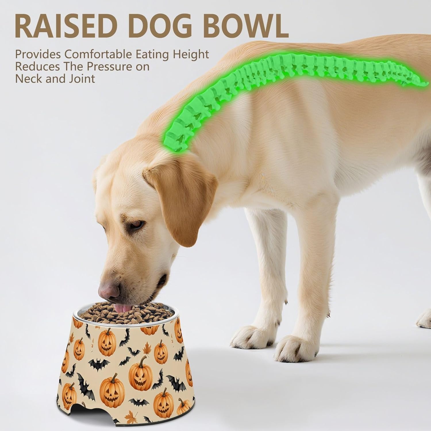 Pumpkin Bats Halloween Pet Bowl Elevated Dog Bowls with Stainless Steel, Raised Dog Bowl for Comfortable Feeding and Easy Cleaning, for Pets.23300555