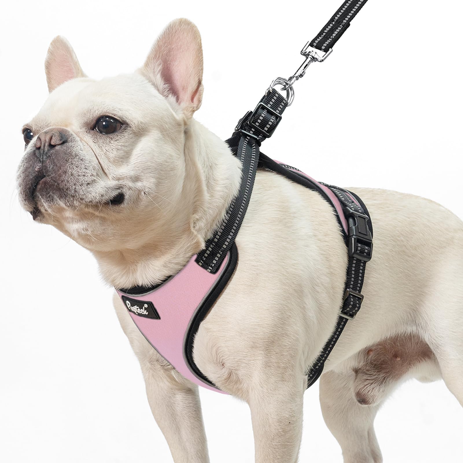 PUPTECK Dog Harness and Leash Set Small Sized, Adjustable Reflective Escape Proof Puppy Vest, No Pull Walking Harness Easy Control