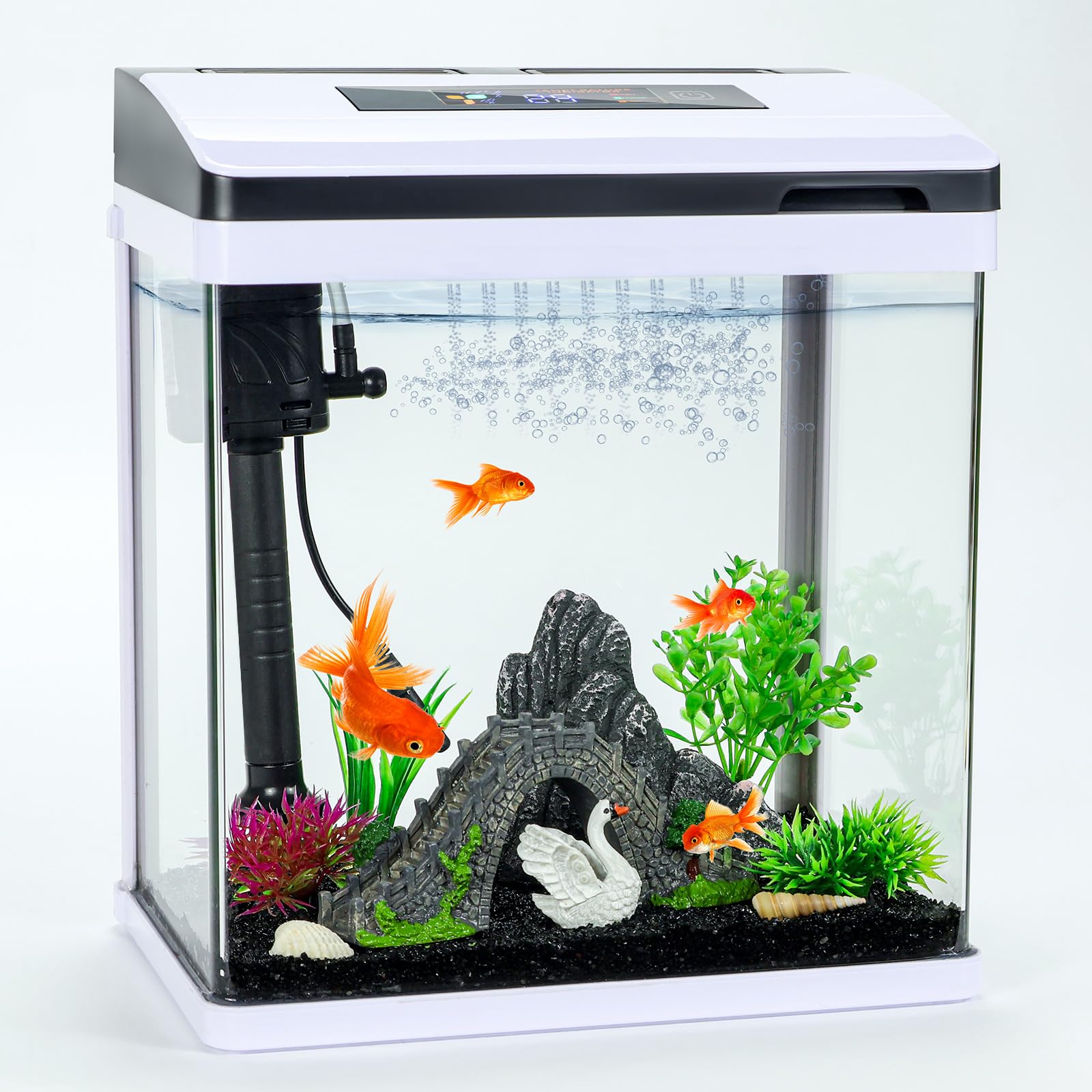 Buy Bluecoco 2Gallon Glass Aquarium Fish Tank Starter Kit with