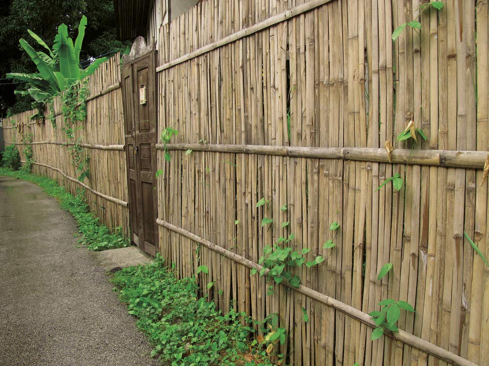 VERDELOOK | Arella Beach in cannette di bamboo schiacciato, 3x2 m, per Coperture Recinzioni e Decorazioni, Arredo Esterni, Arella Decorativa, Naturale, Divisore Ambienti Esterni
