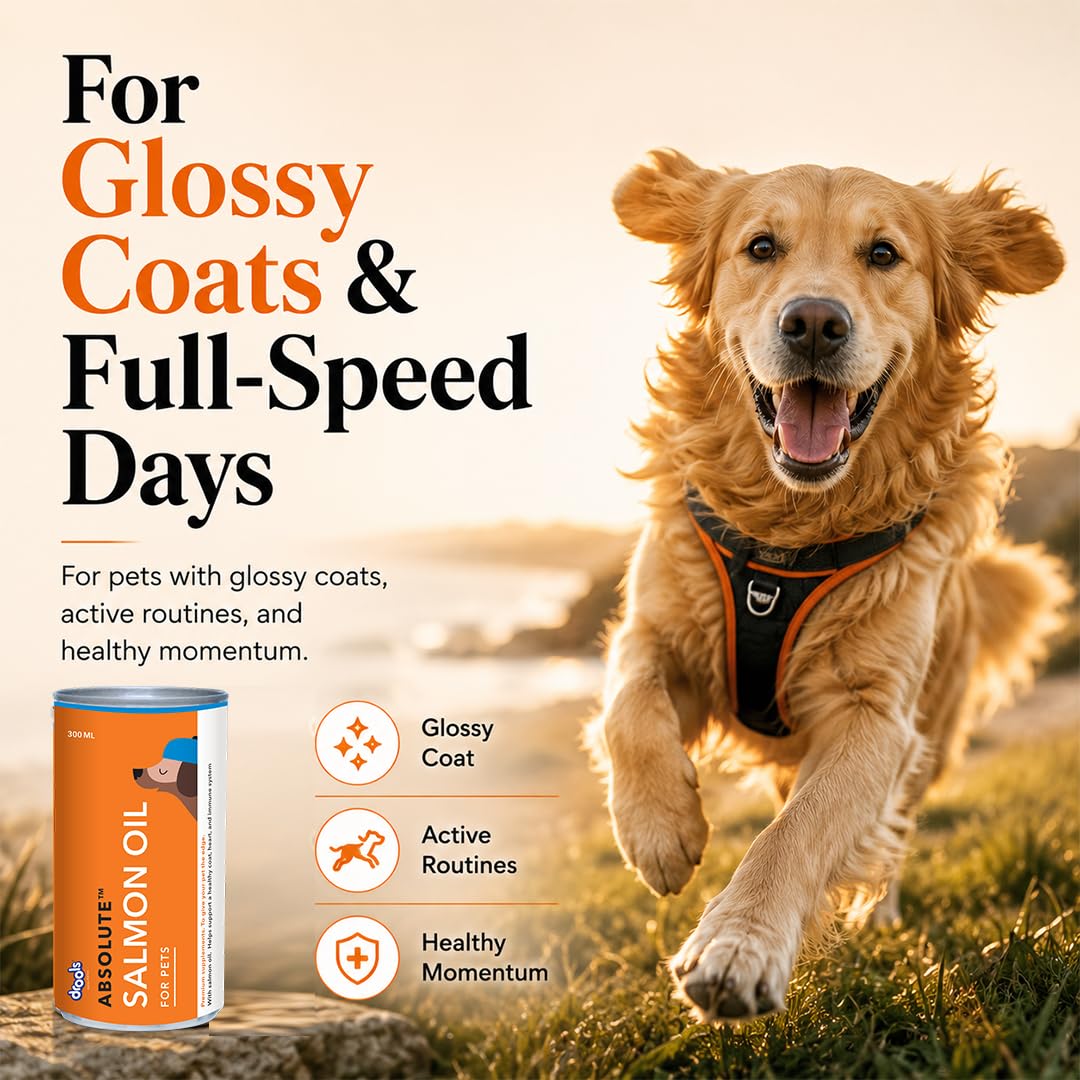 Drools Absolute Dog Supplement Syrup 150ml Jar | Salmon Flavour | All Breeds | Promotes Shiny Coat | Boosts Immunity | Aids Brain Development | Helps Prevent Skin Issues | Maintains Heart Health 4