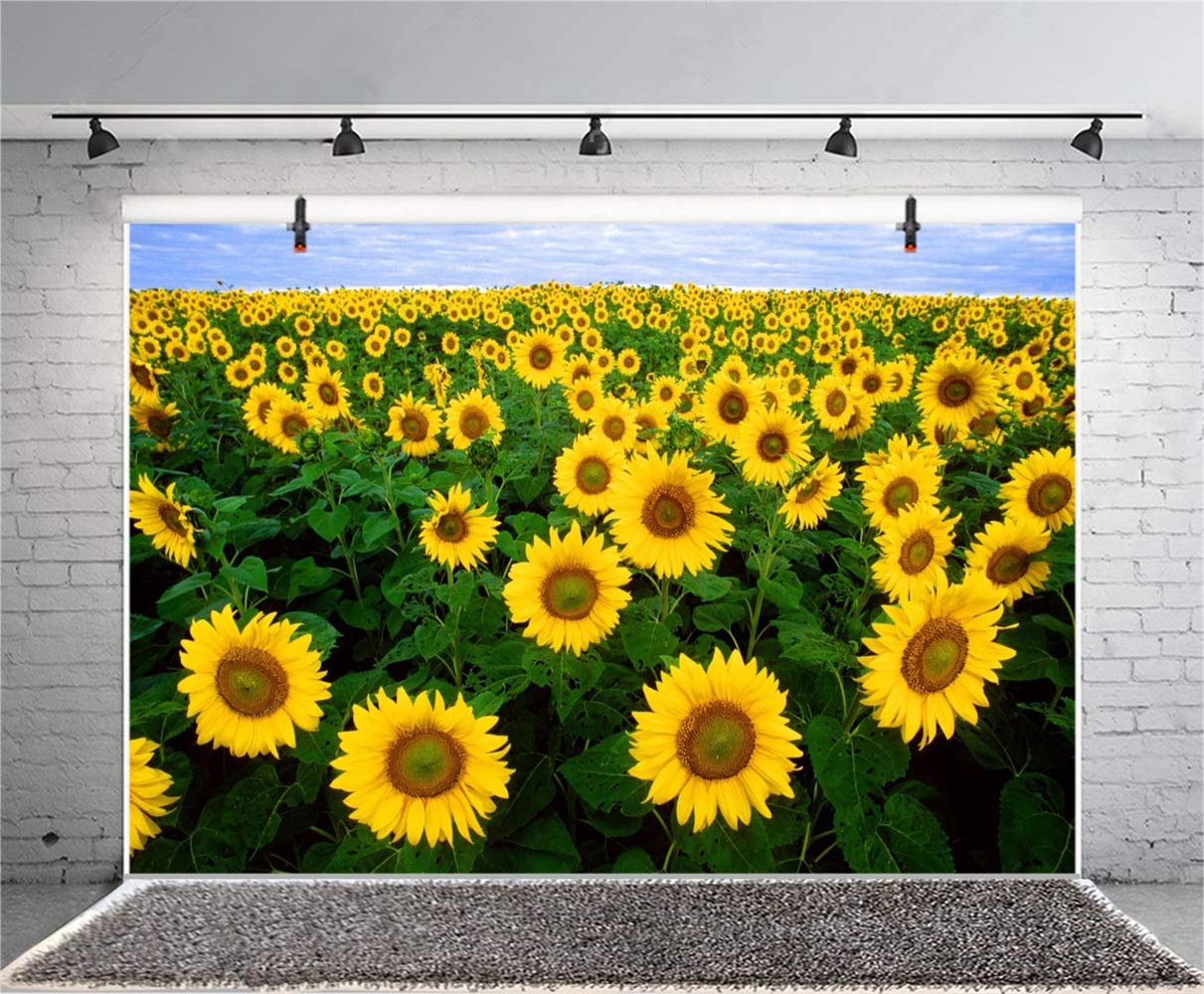 ひまわりの咲くミニチュアガーデン　背景ボード ひまわりの咲くミニチュアガーデン 背景ボード